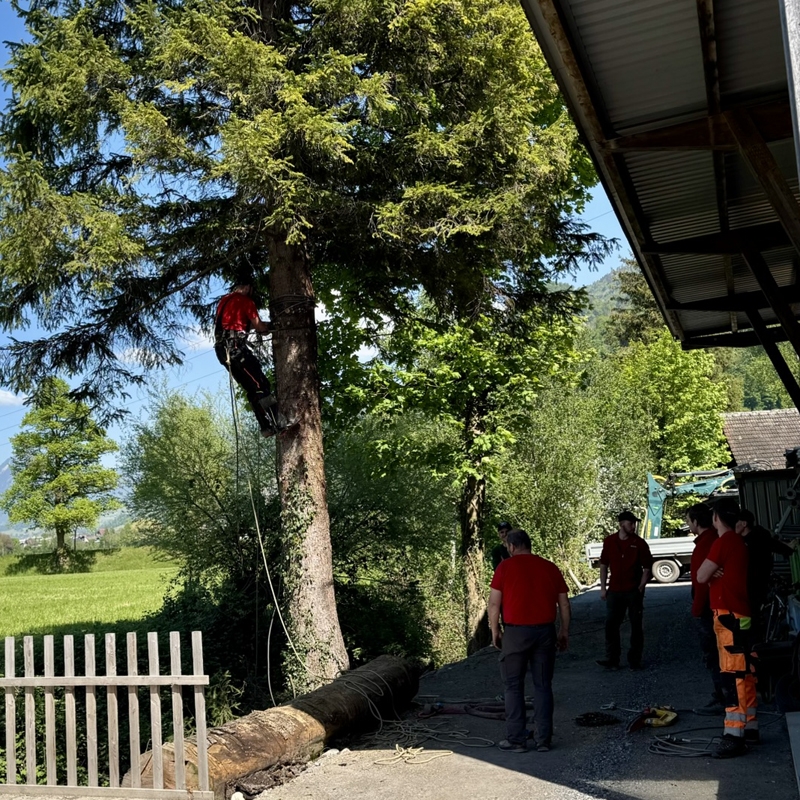 Abaecherli-Aktuelles-Ausbildungstag-09