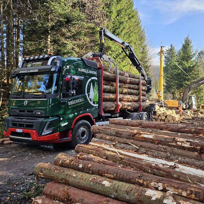 Abaecherli-Holztransport-01