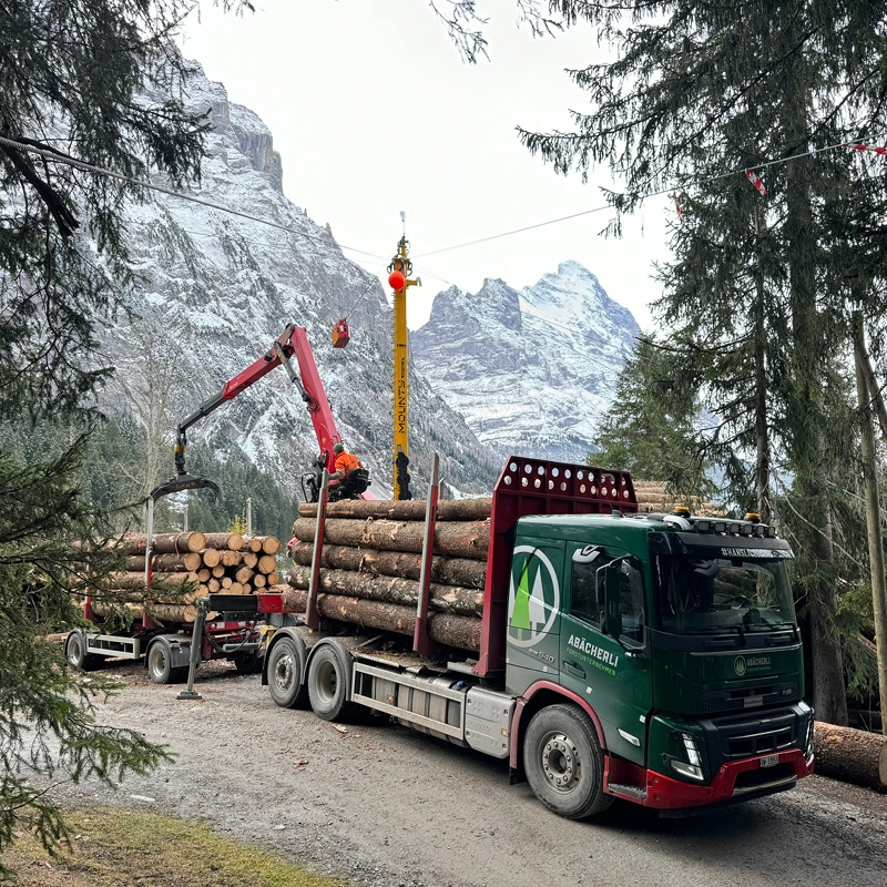 Abaecherli-Holztransport-02