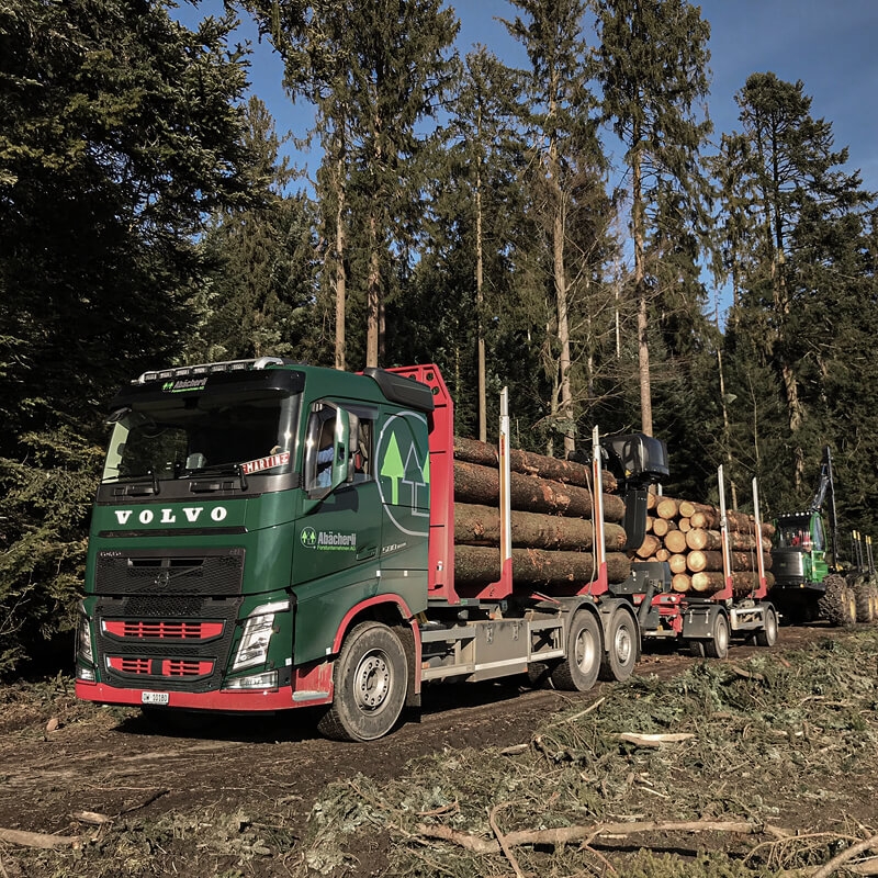 Abaecherli-Holztransport-03