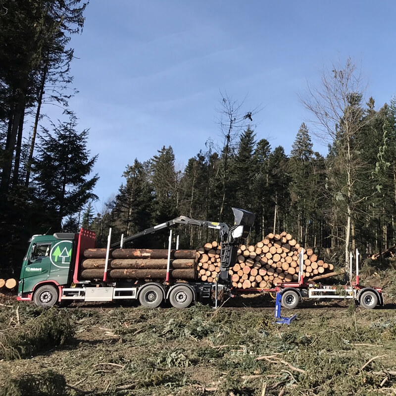 Abaecherli-Holztransport-04