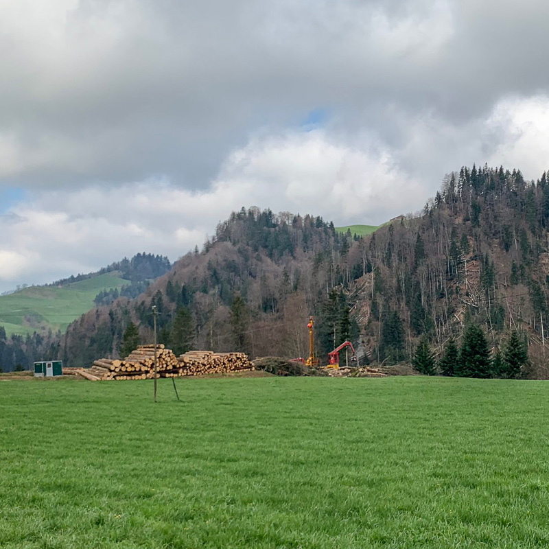 Abaecherli-Projekt-Harzerwald-11