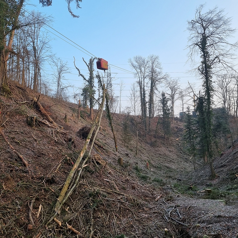 Abaecherli-Projekte-Holzschlag-Boettstein-03