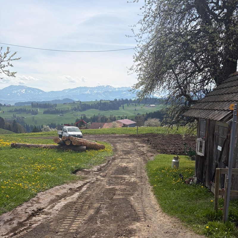 abaecherli-projekte-hochwart-07